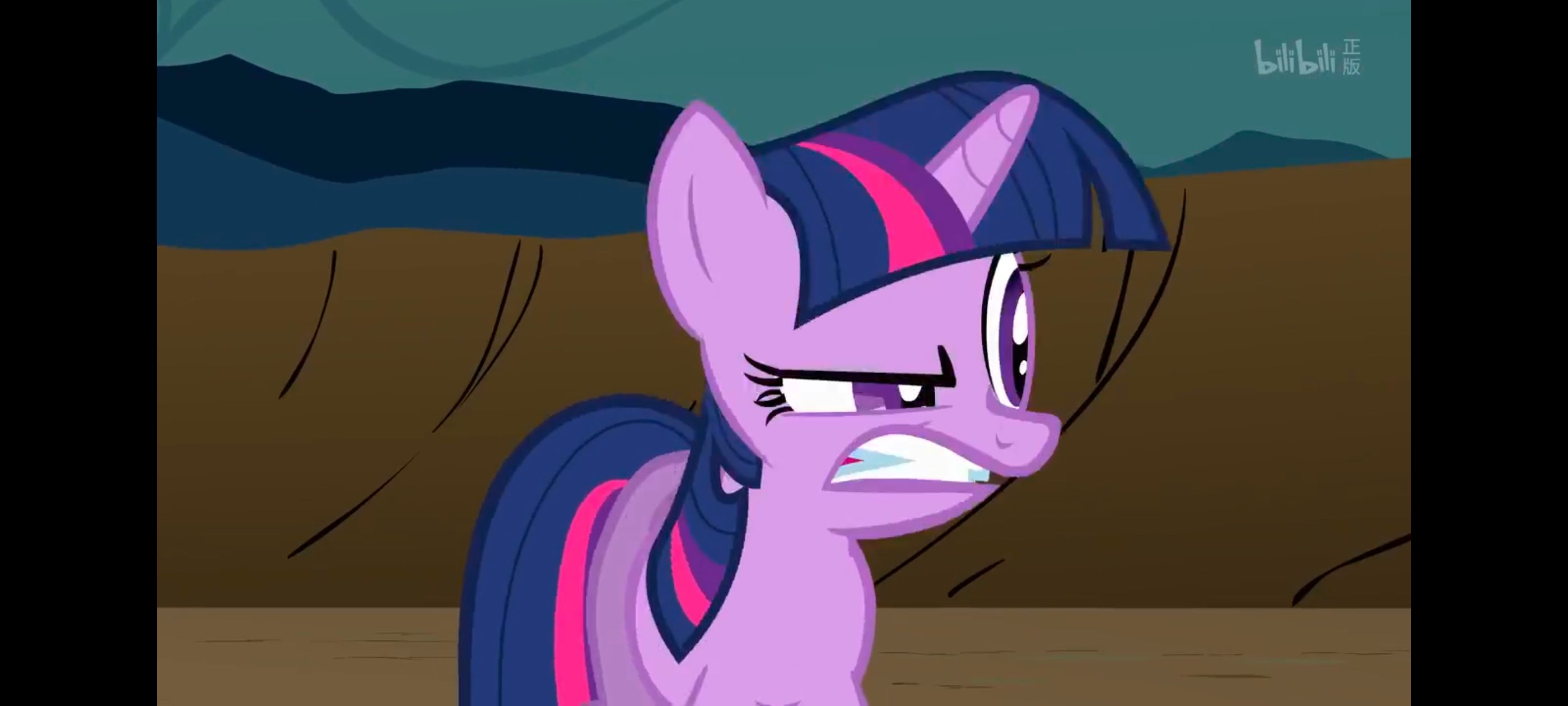 小马宝莉,彩虹小马,我的小马驹,小马宝莉友谊魔法,动漫,动画,番剧,ACG