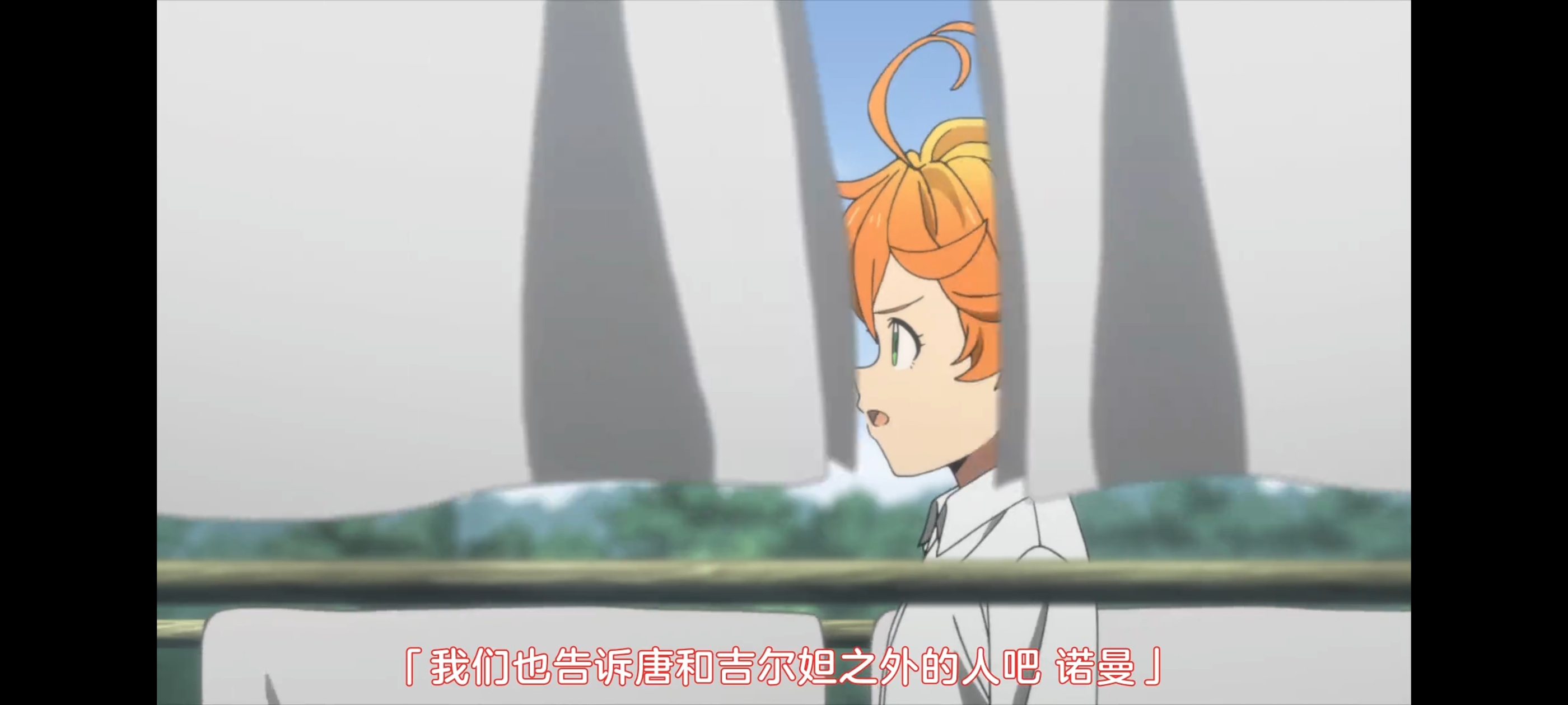 约定的梦幻岛,动画,动漫,番剧,二次元,ACG