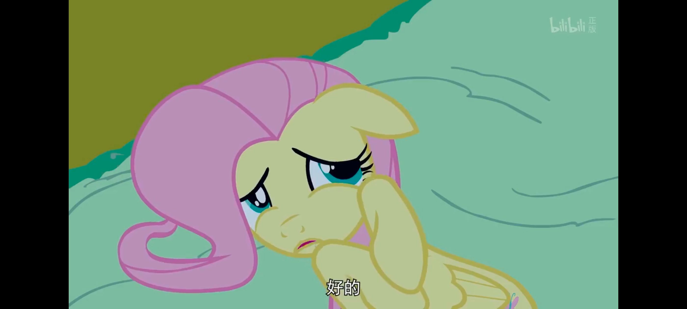 小马宝莉,小马宝莉友谊魔法,彩虹小马,我的小马驹,动漫,动画,番剧,ACG