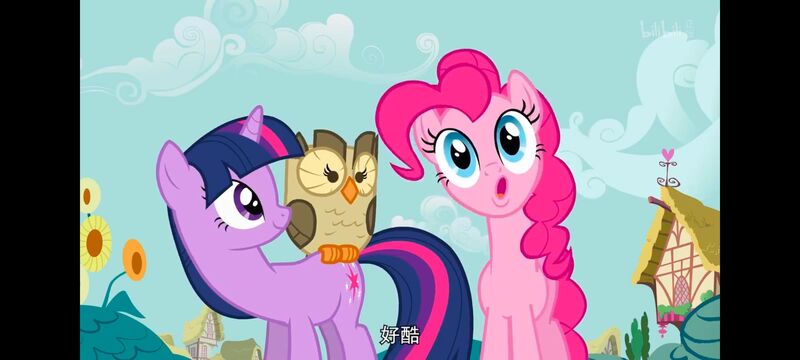 小马宝莉,彩虹小马,我的小马驹,动画,动漫,番剧,ACG,小马宝莉友谊魔法