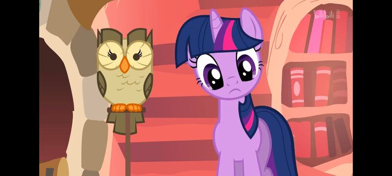 小马宝莉,彩虹小马,我的小马驹,动画,动漫,番剧,ACG,小马宝莉友谊魔法