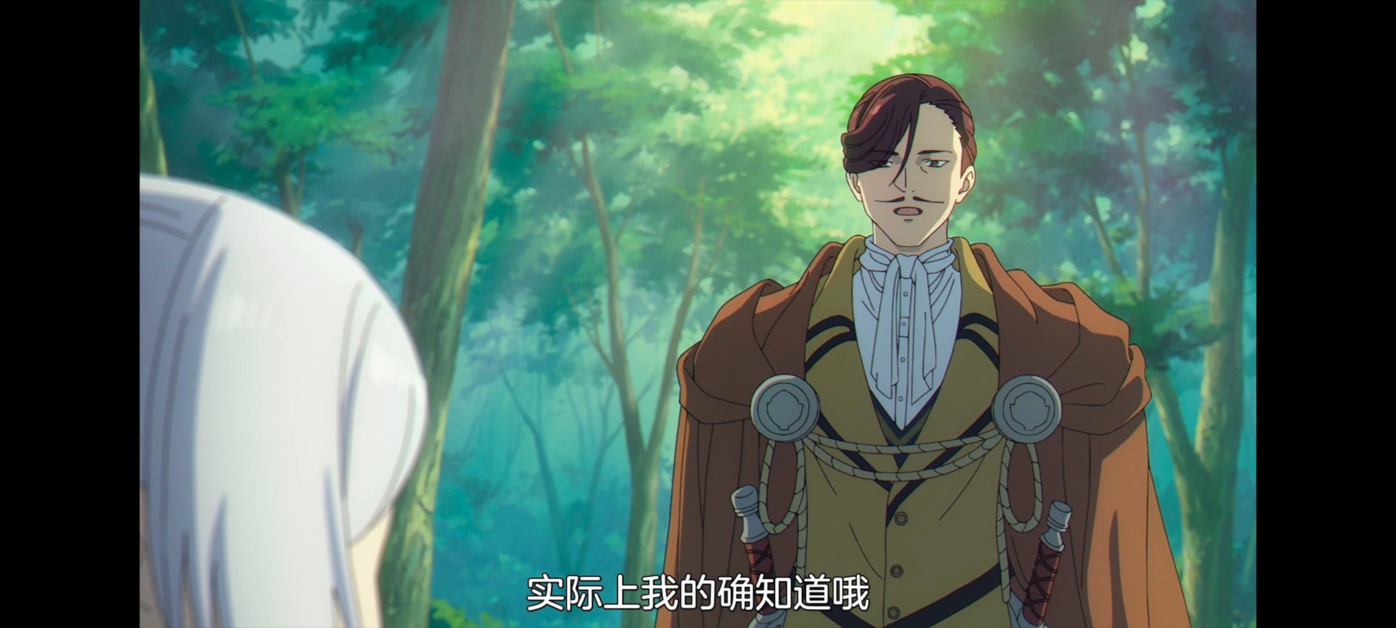 葬送的芙莉莲,动画,动漫,番剧,ACG