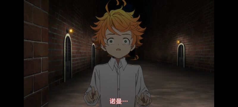 约定的梦幻岛,动画,动漫,番剧,ACG