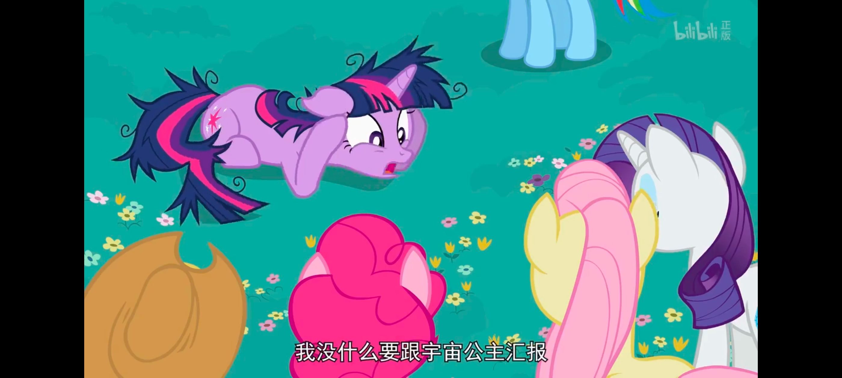 小马宝莉,小马宝莉友谊魔法,彩虹小马,我的小马驹,动画,动漫,番剧,ACG