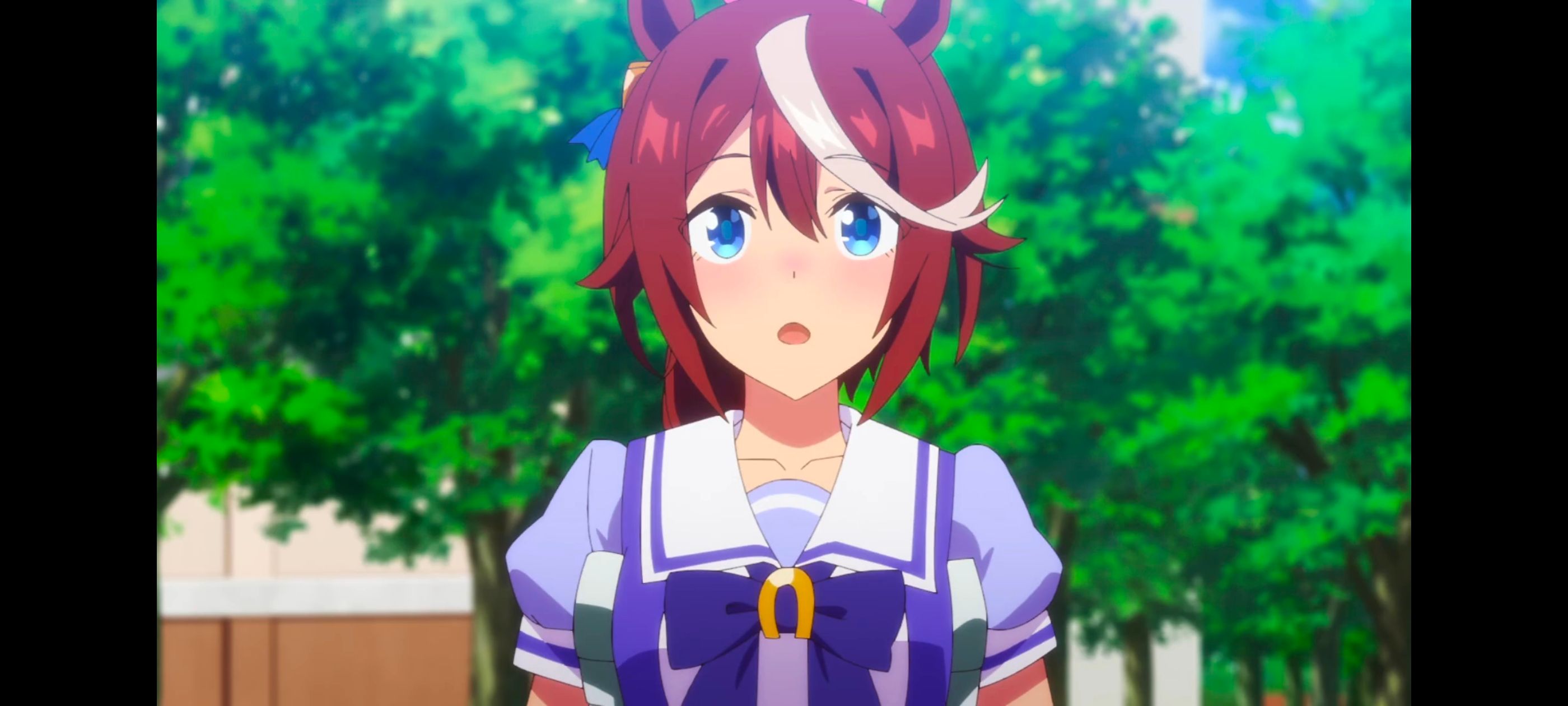 赛马娘,赛马娘PrettyDerby,赛马娘第二季,番剧,动画,动漫,二次元,ACG