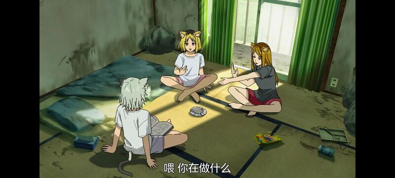 尼古喵喵,雅尼猫,动画,动漫,番剧,日漫,二次元,ACG
