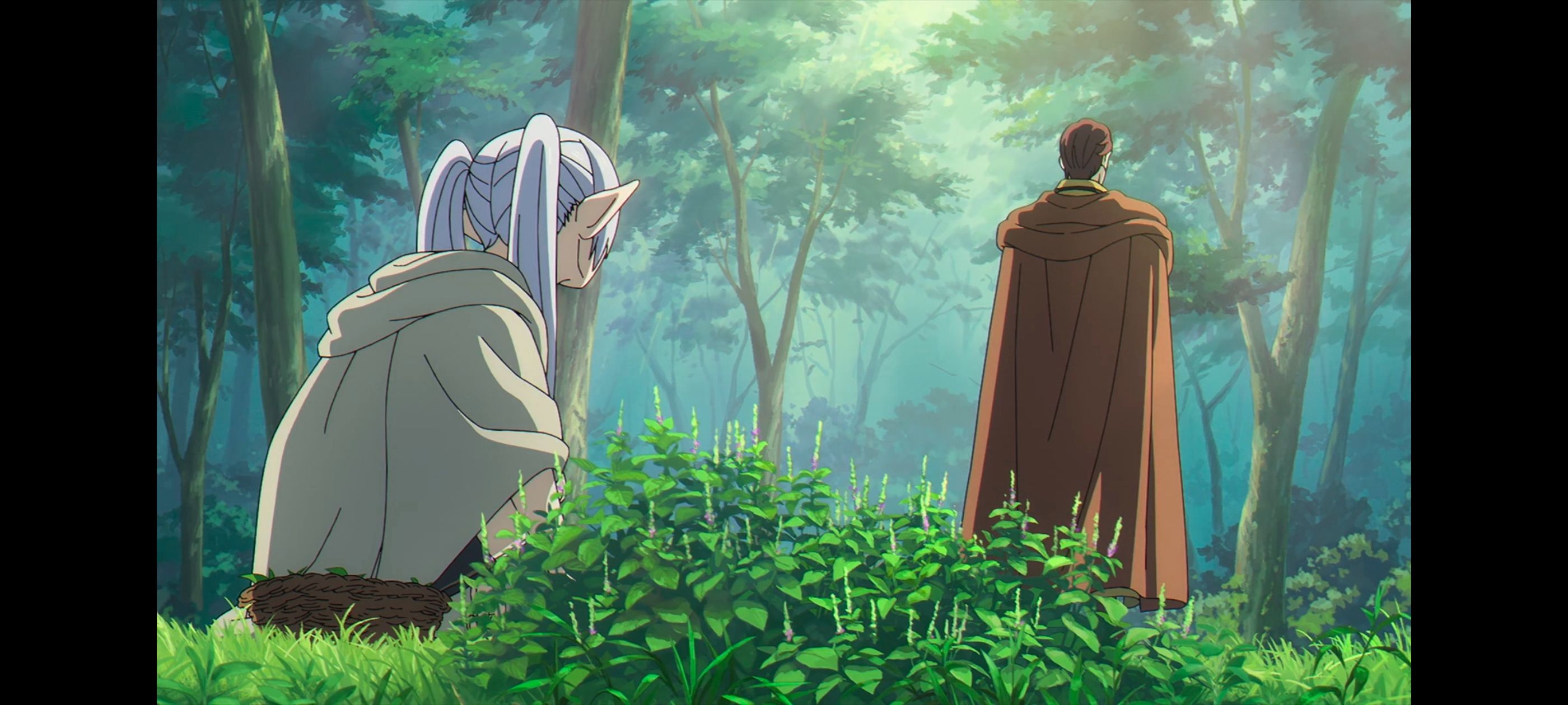 葬送的芙莉莲,动画,动漫,番剧,ACG