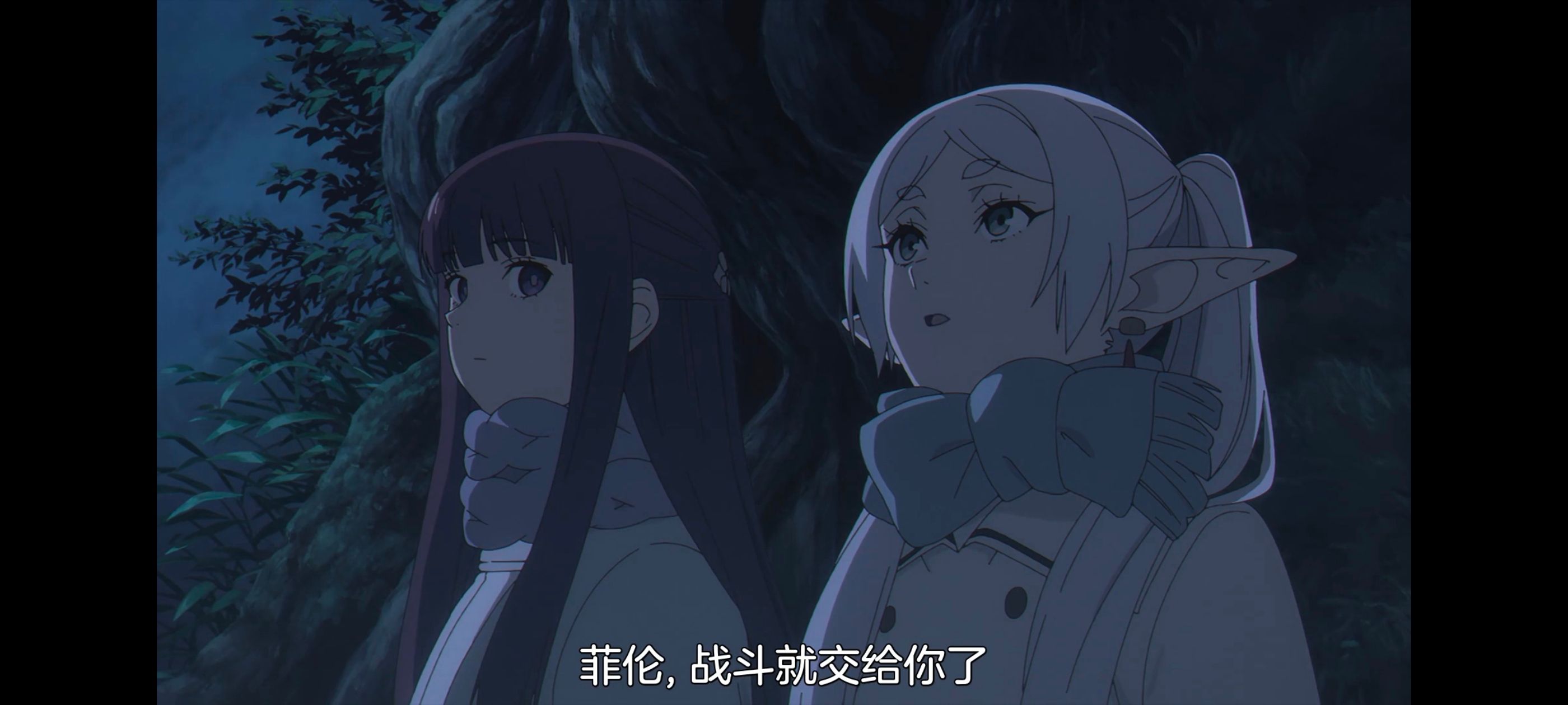 葬送的芙莉莲,动画,动漫,番剧,二次元,ACG