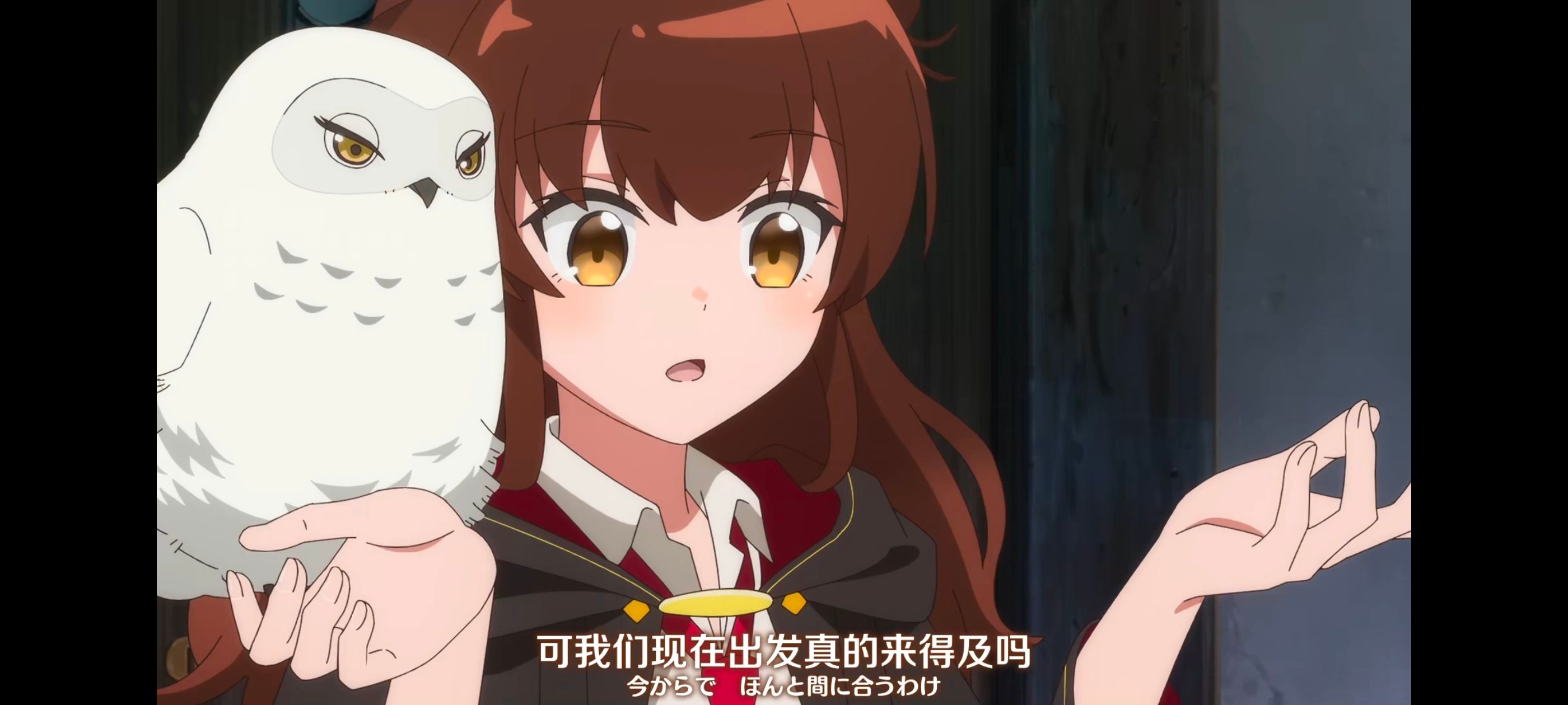 直至魔女消逝,直到某魔女死去,奇幻,动漫,动画,番剧,ACG