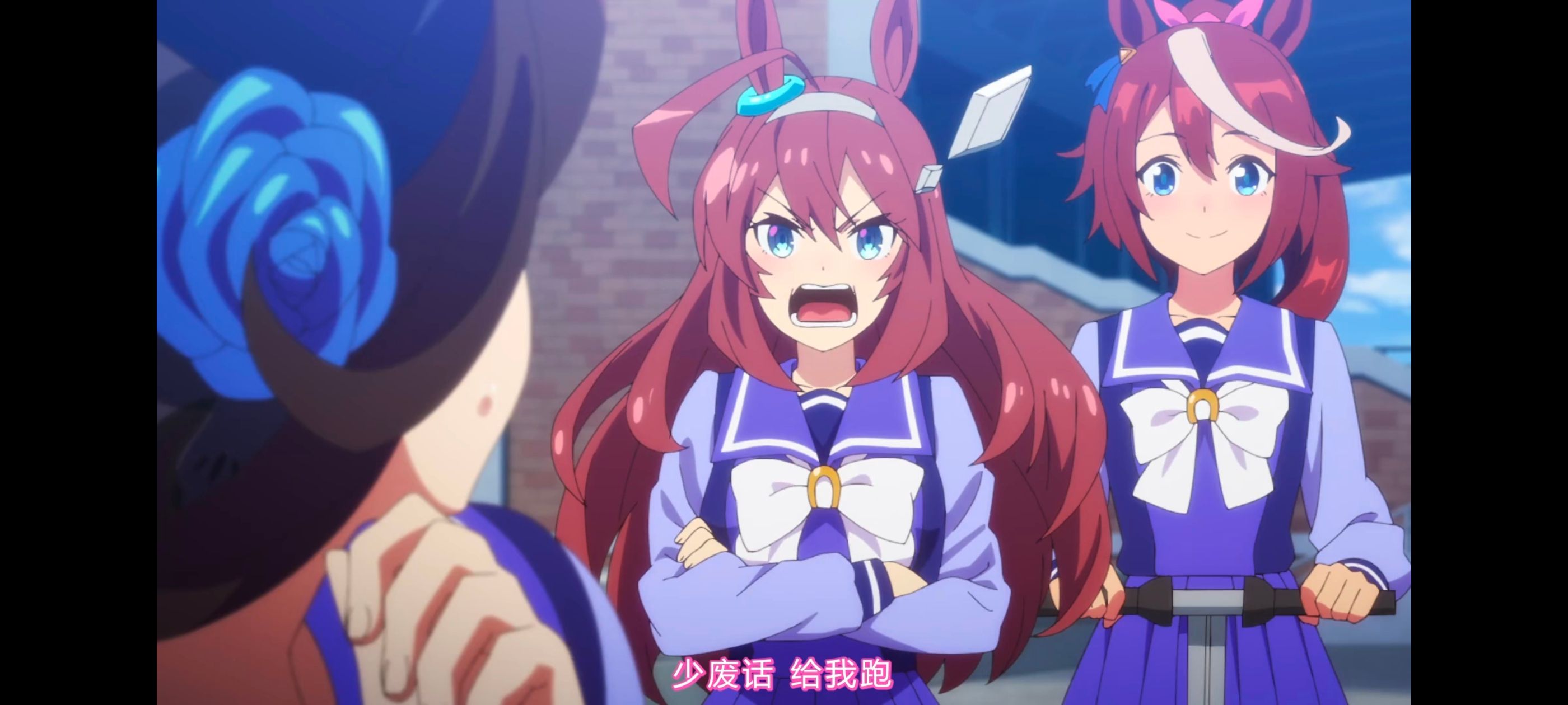 赛马娘,赛马娘第二季,动画,动漫,番剧,二次元,ACG,赛马娘PrettyDerby