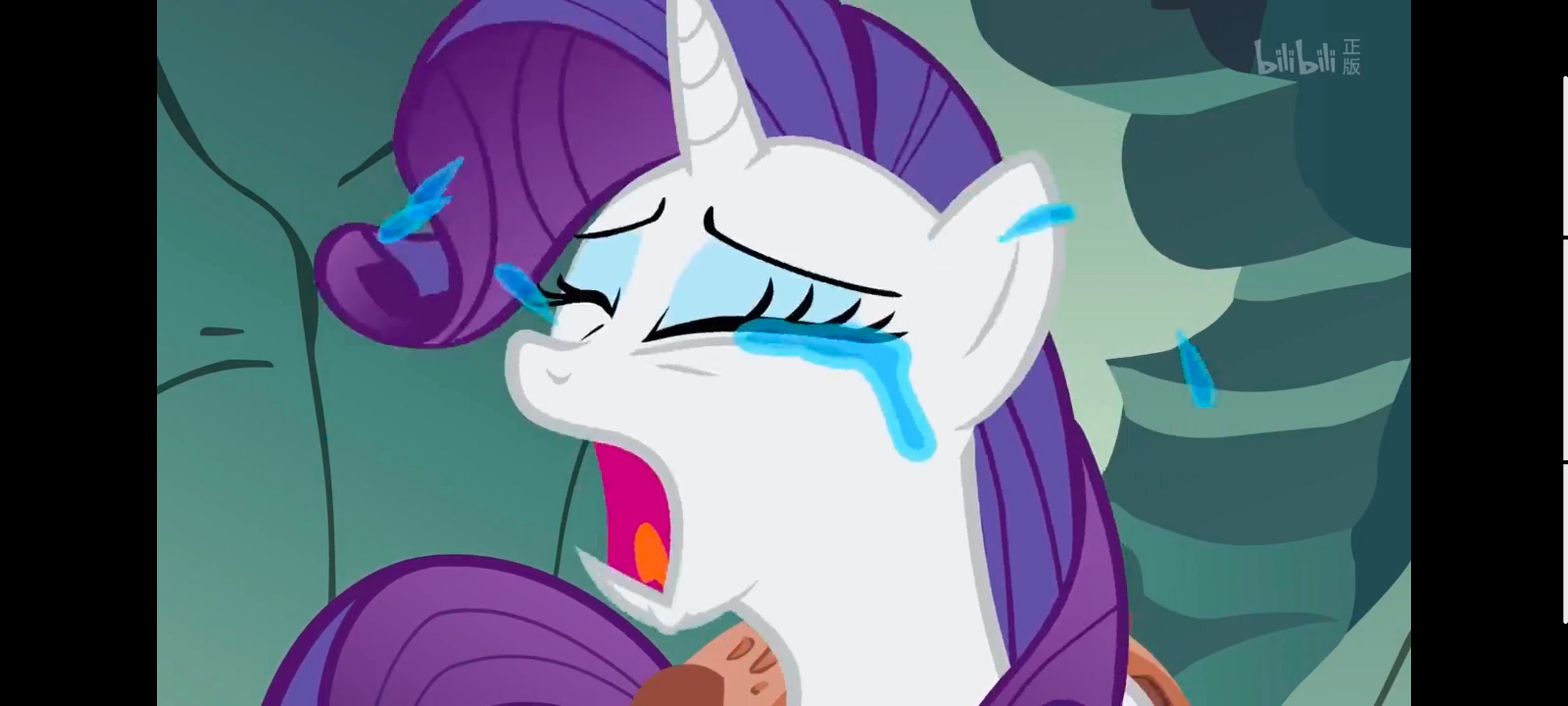 彩虹小马,小马宝莉,我的小马驹,小马宝莉友谊魔法,动画,动漫,番剧,ACG