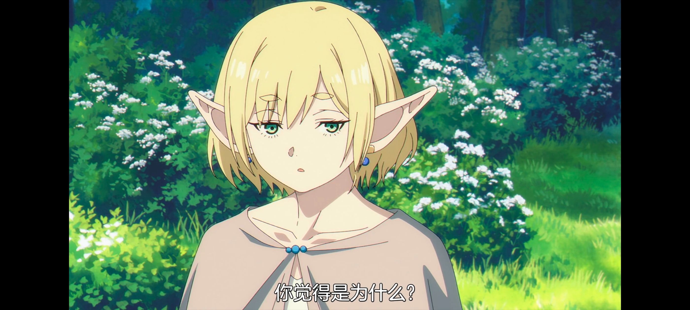 葬送的芙莉莲,动画,动漫,番剧,ACG