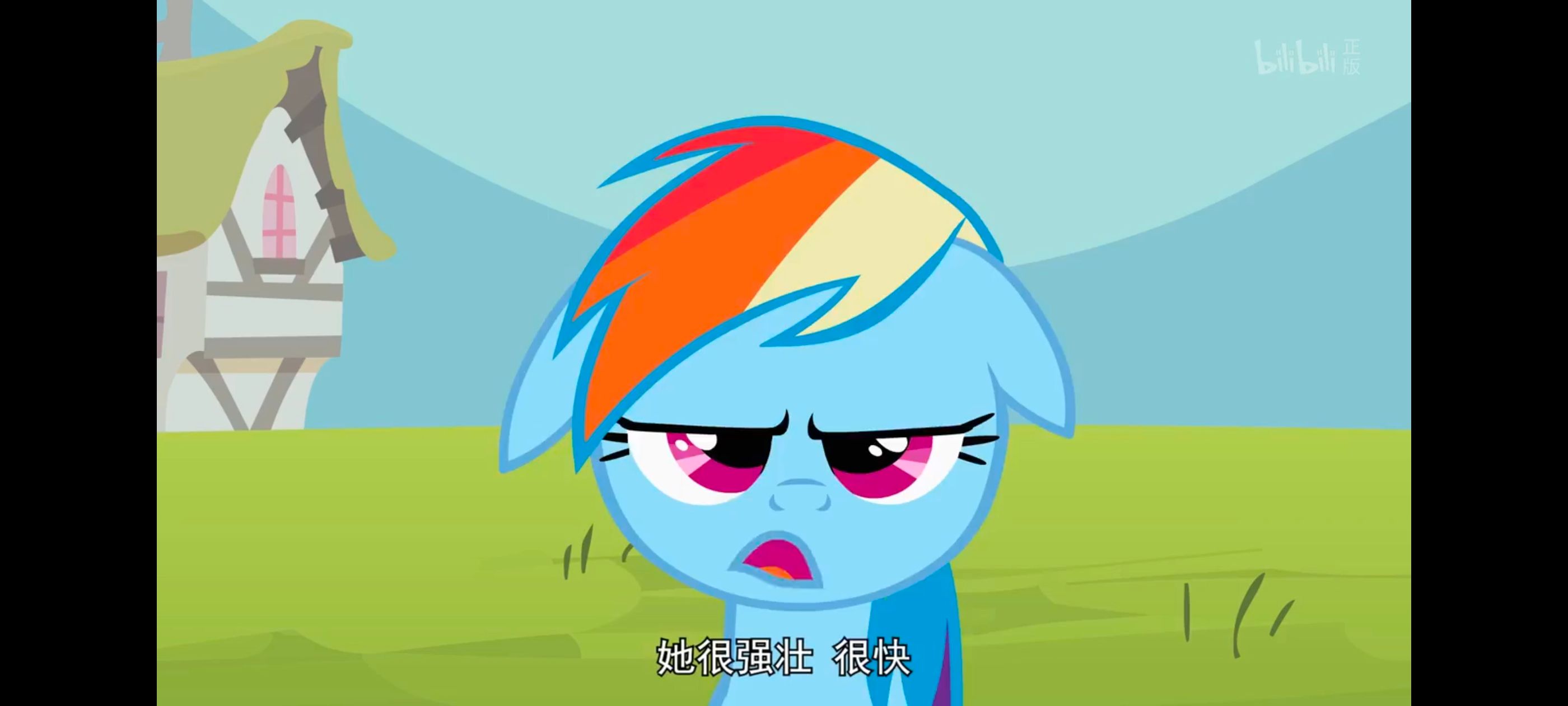 小马宝莉,彩虹小马,我的小马驹,动画,动漫,番剧,ACG