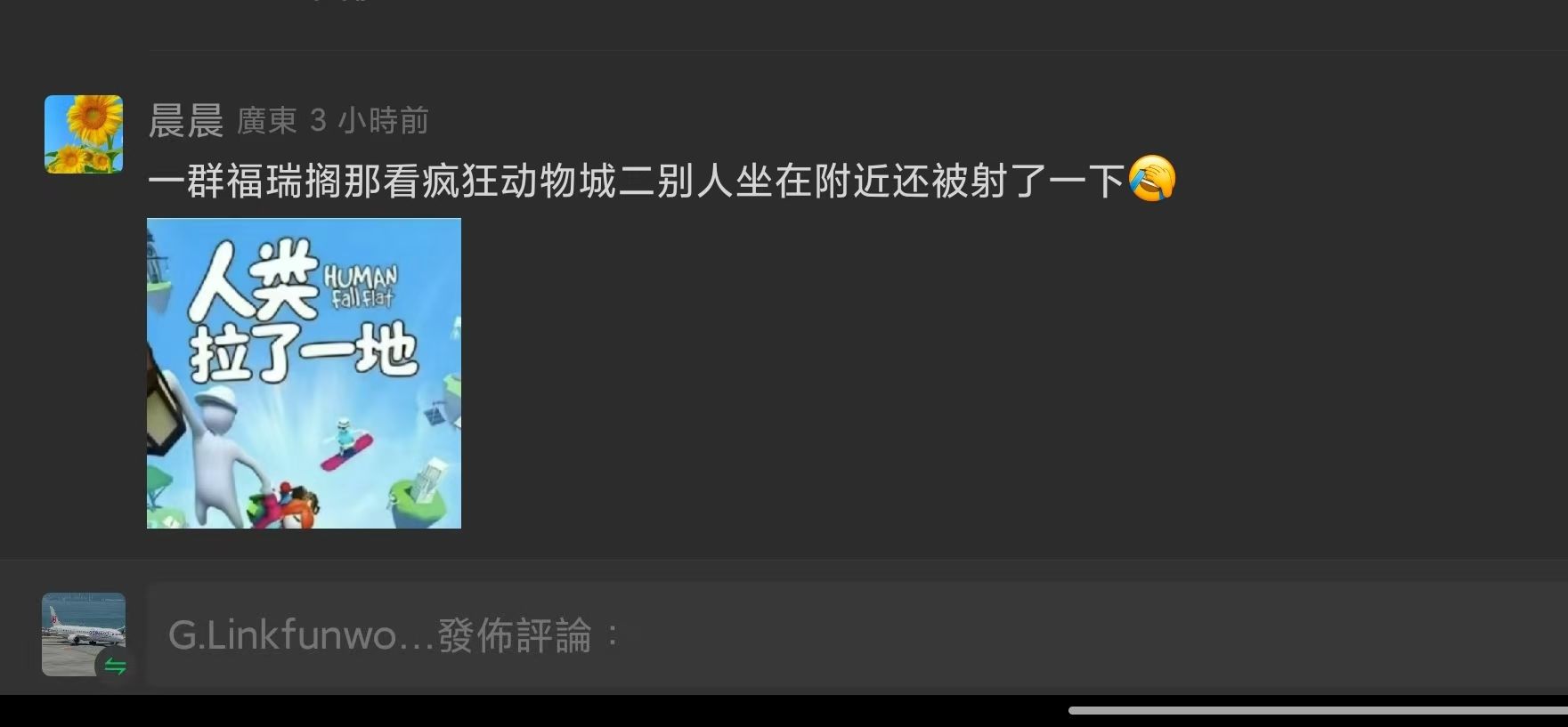 福瑞,瘋狂動物城2,電影院,動漫