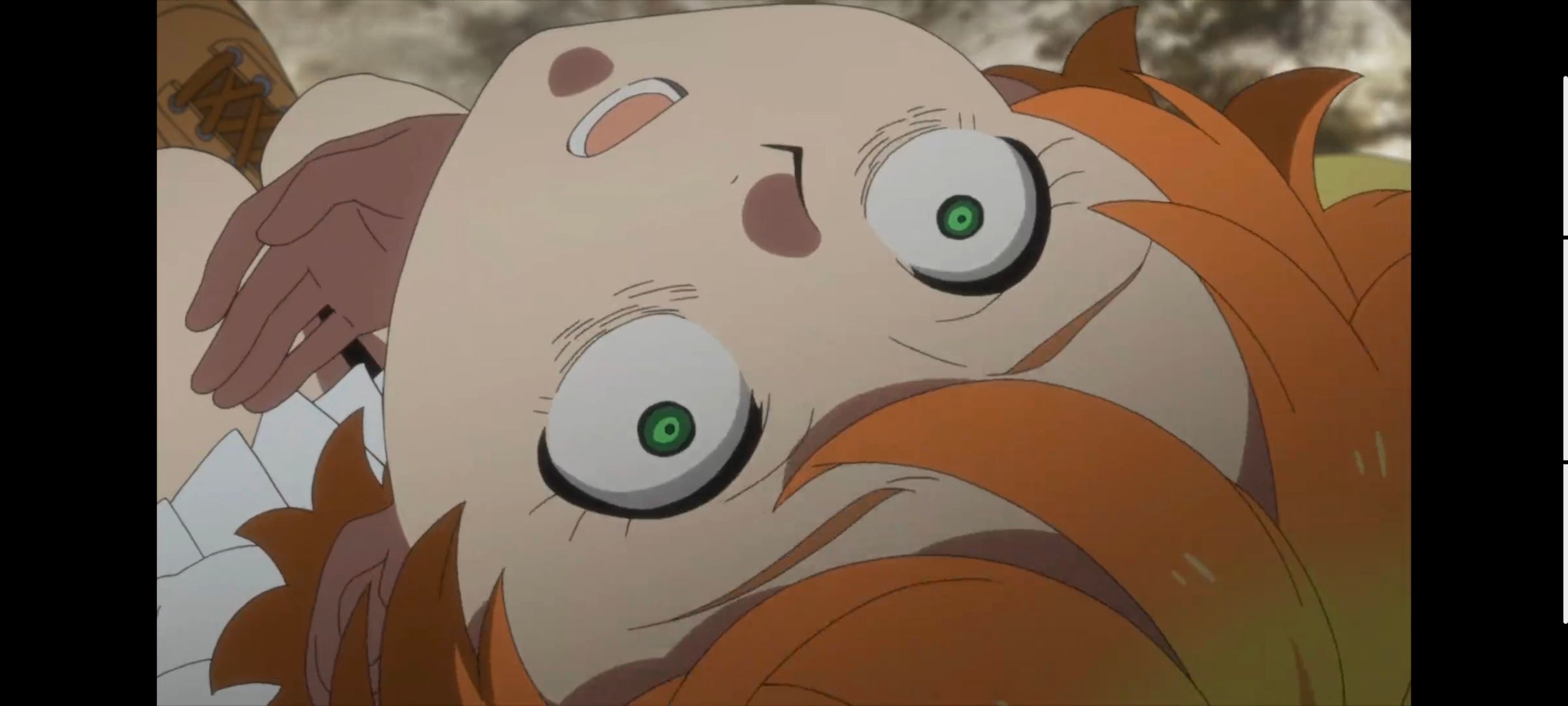 约定的梦幻岛,动画,动漫,番剧,ACG