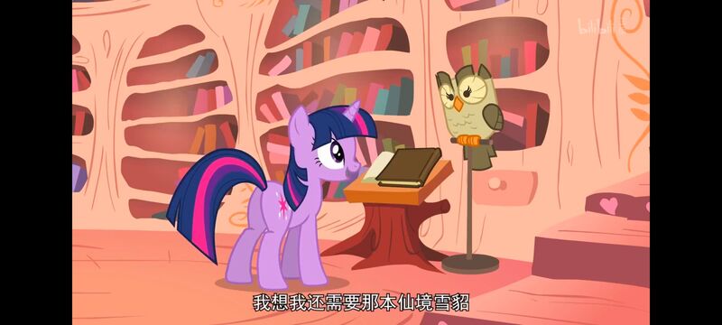 小马宝莉,彩虹小马,我的小马驹,动画,动漫,番剧,ACG,小马宝莉友谊魔法