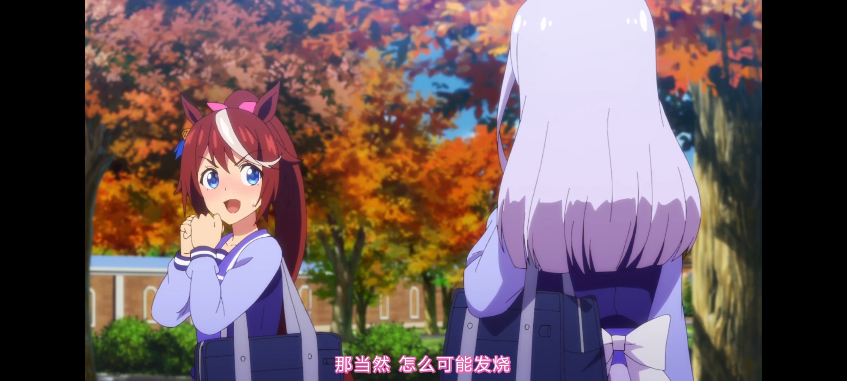 赛马娘,赛马娘第二季,动画,动漫,番剧,二次元,ACG