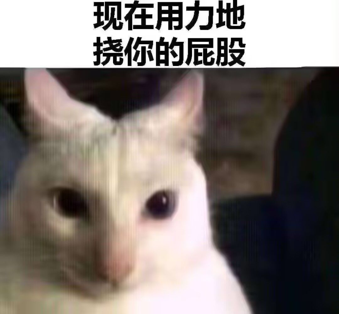 /static/554b127e374ecacd727b972053118cbcb2b0f561172aeb984aaec31da074391e.jpg