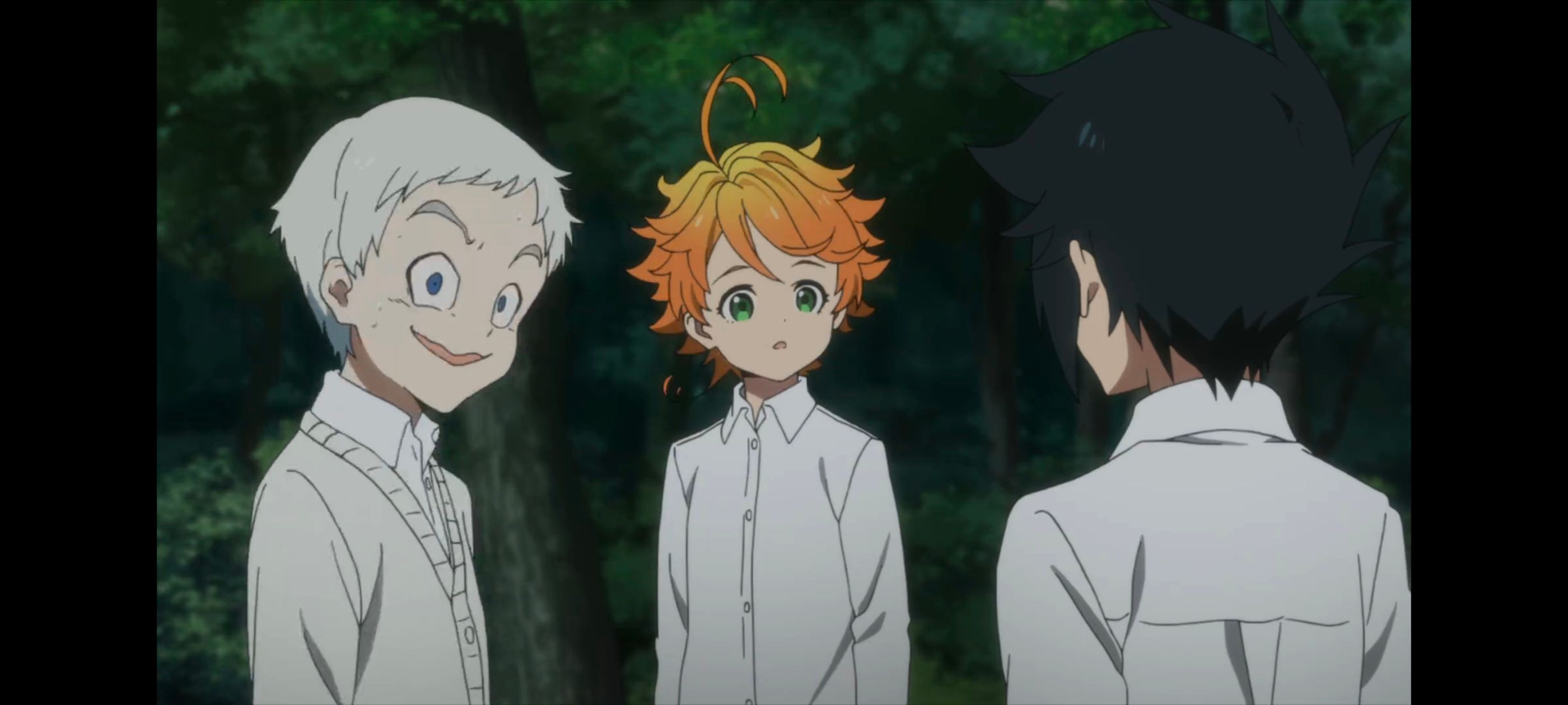 约定的梦幻岛,动画,动漫,番剧,ACG