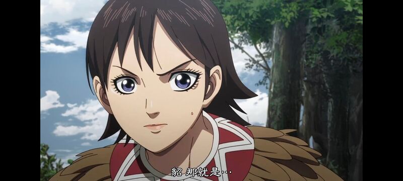 王者天下,动画,动漫,番剧,ACG