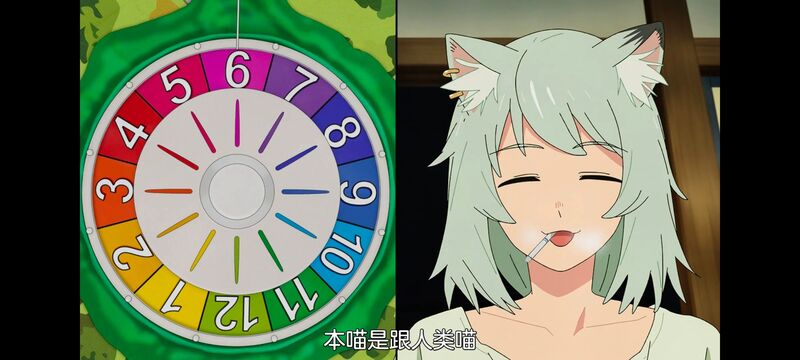 尼古喵喵,雅尼猫,动画,动漫,番剧,日漫,二次元,ACG