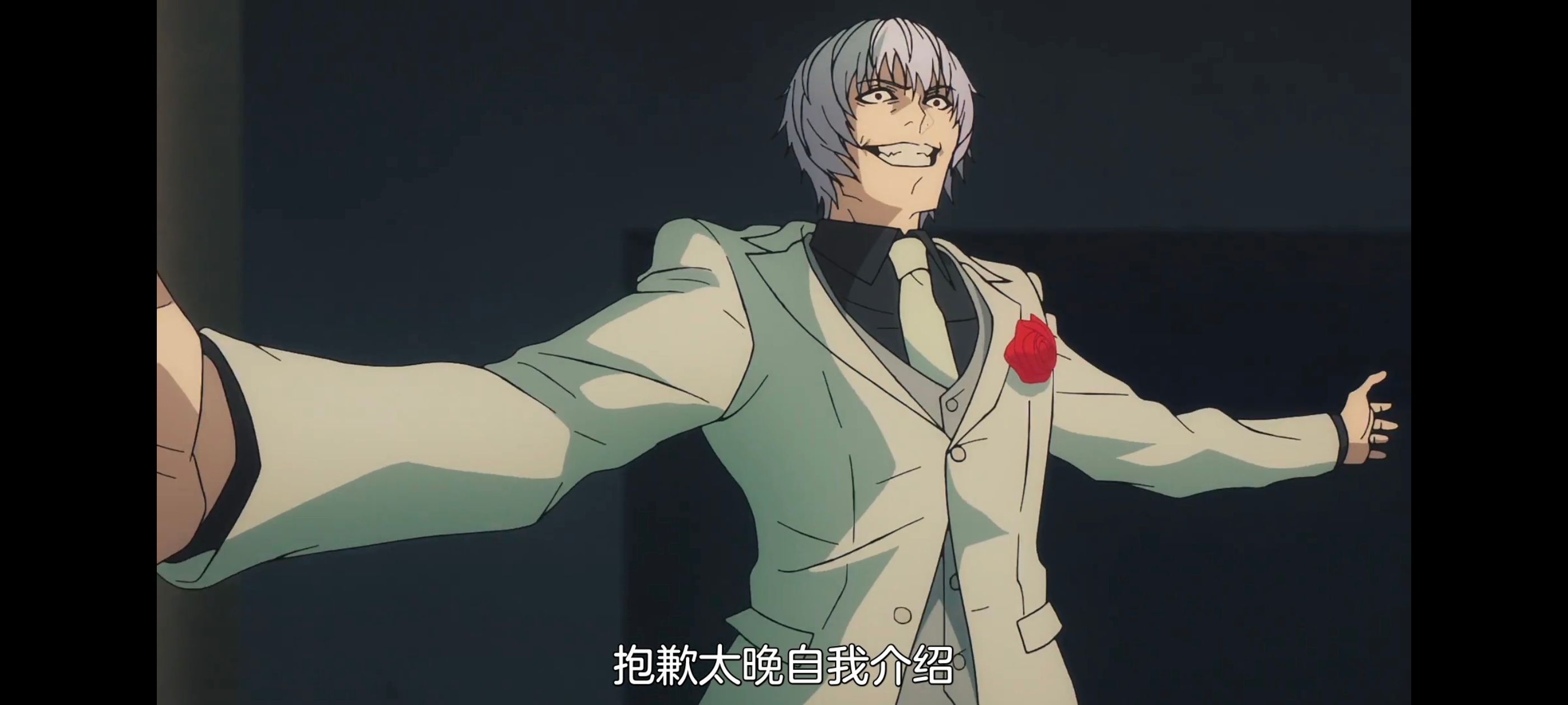 命运奇异赝品,FatestrangeFake,FATE,动画,动漫,番剧,ACG