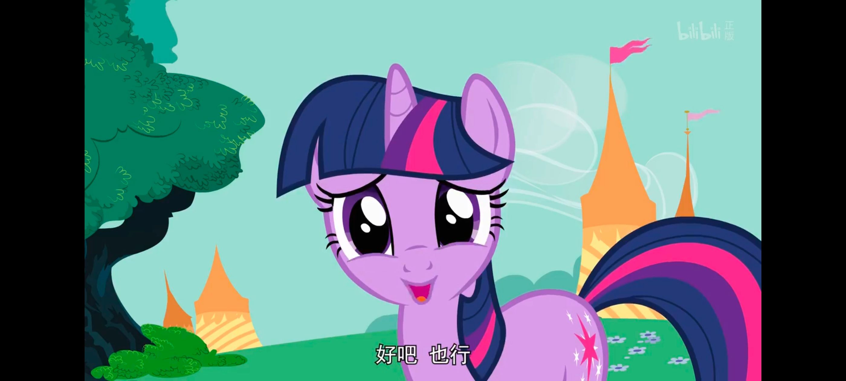 小马宝莉,小马宝莉友谊魔法,彩虹小马,我的小马驹,动画,动漫,番剧,ACG