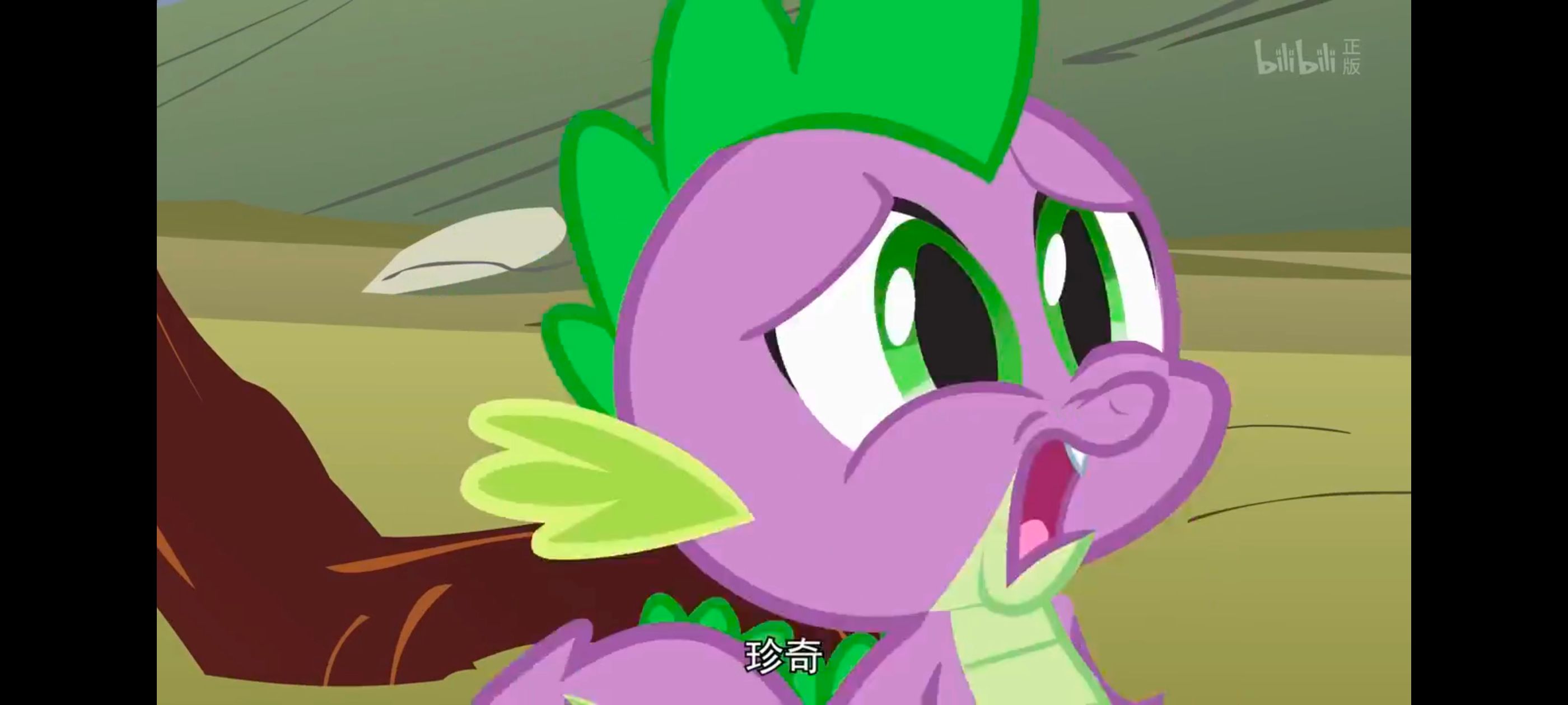 彩虹小马,小马宝莉,我的小马驹,小马宝莉友谊魔法,动画,动漫,番剧,ACG