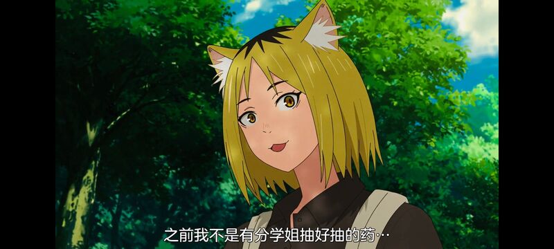 尼古喵喵,雅尼猫,动画,动漫,番剧,日漫,二次元,ACG