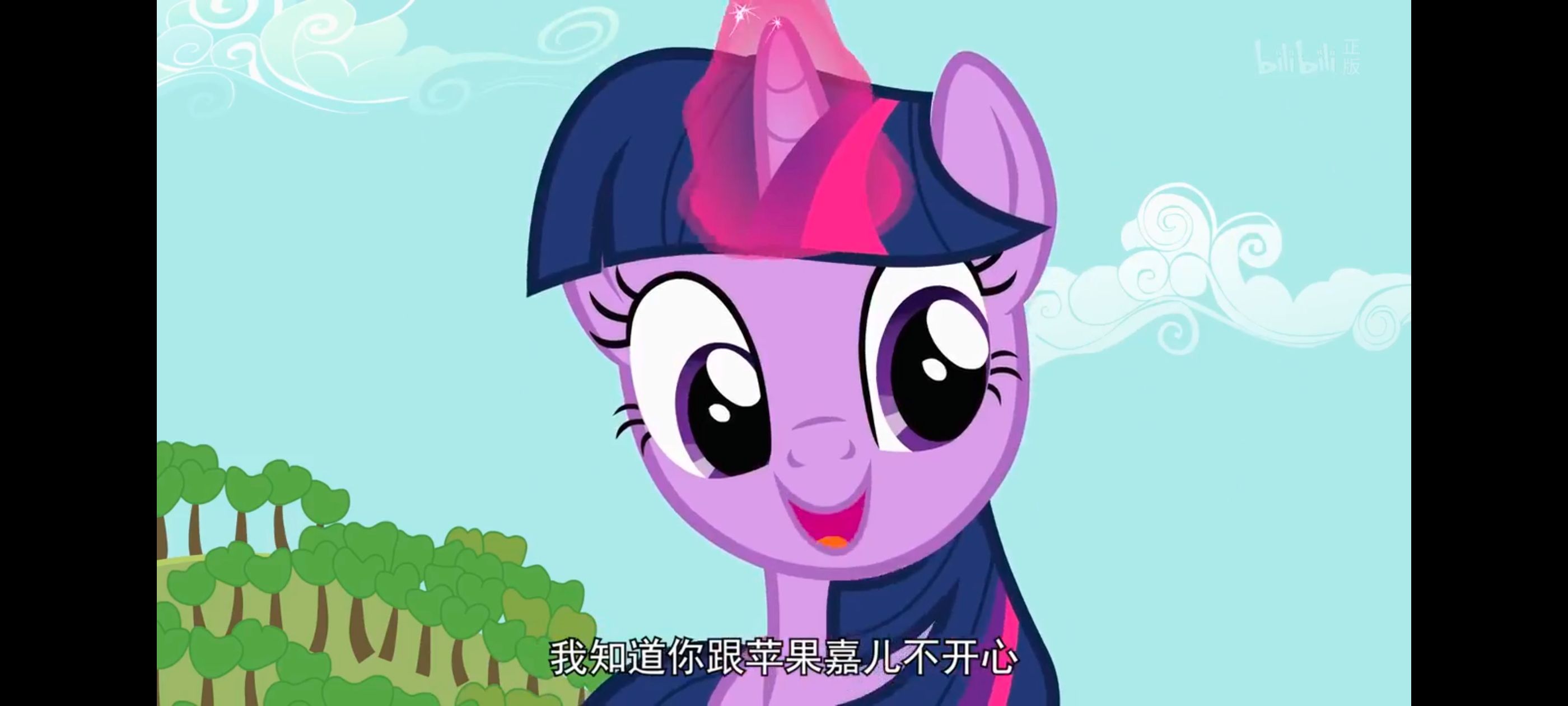 小马宝莉,小马宝莉友谊魔法,彩虹小马,我的小马驹,动画,动漫,番剧,ACG