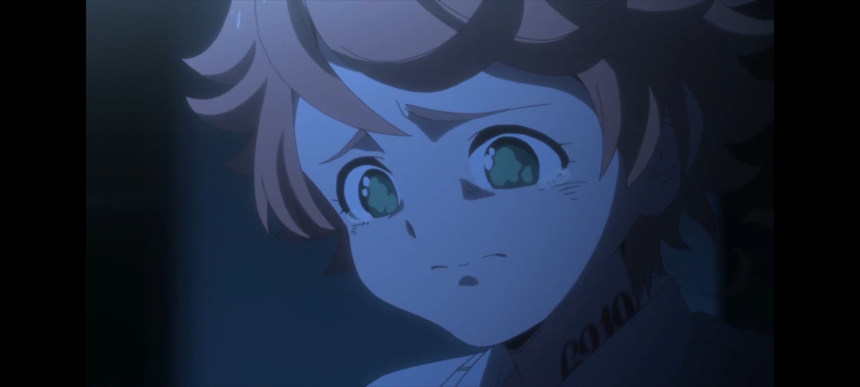 约定的梦幻岛,动画,动漫,番剧,二次元,ACG