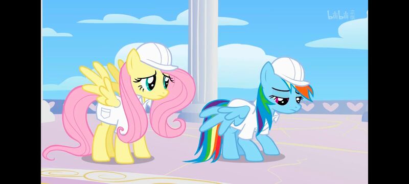 小马宝莉,小马宝莉友谊魔法,彩虹小马,我的小马驹,动画,动漫,番剧,ACG