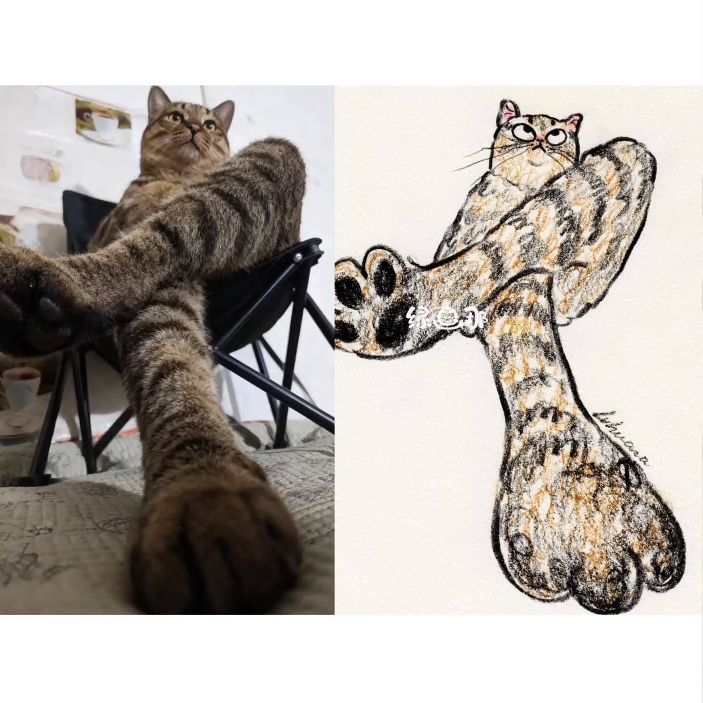 绿画那,插画,猫猫,可爱