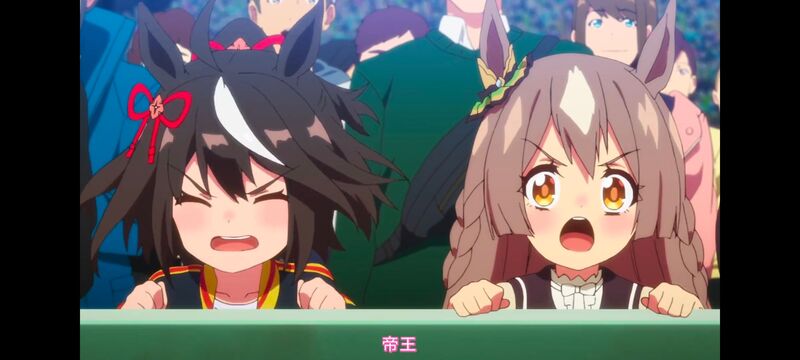 赛马娘,赛马娘PrettyDreby,赛马娘第二季,动画,动漫,番剧,ACG