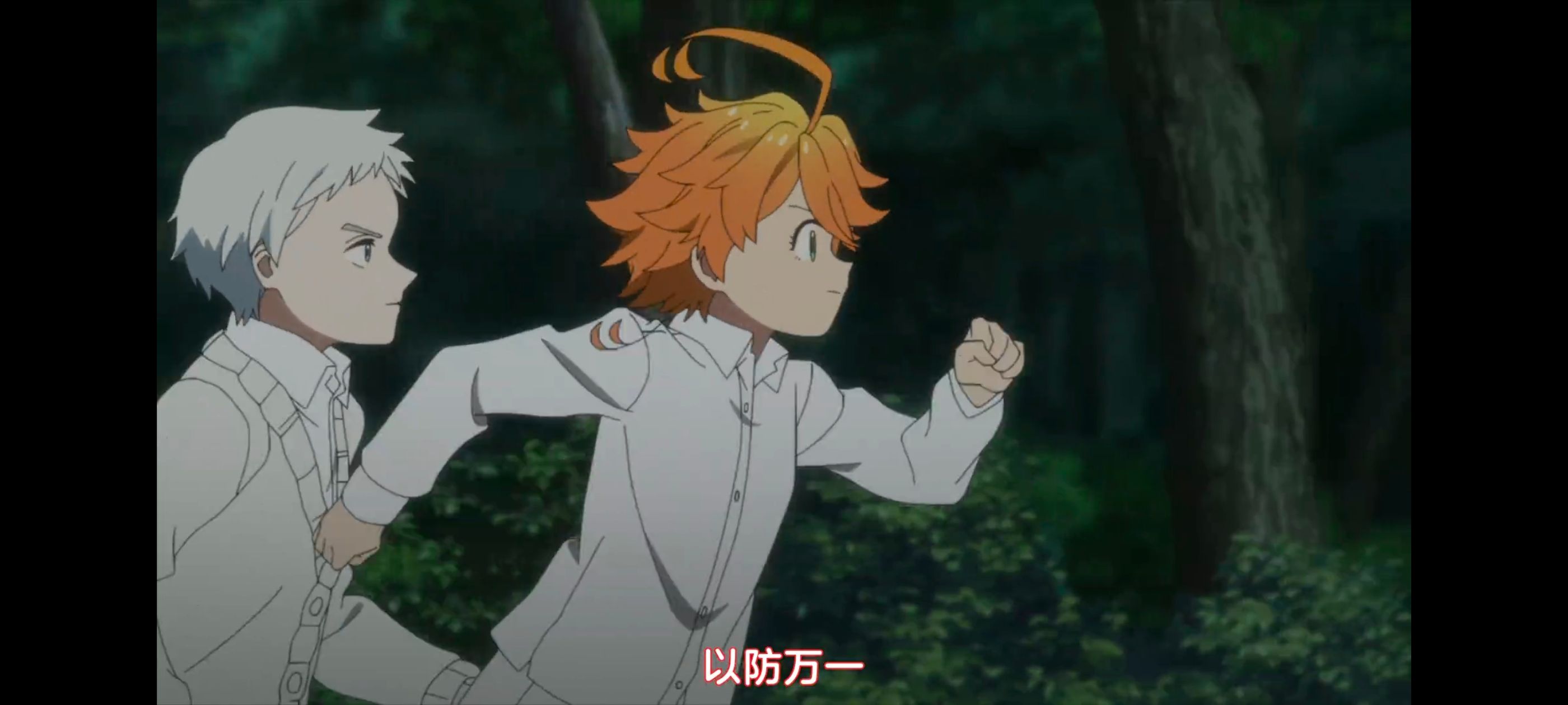 约定的梦幻岛,动画,动漫,番剧,二次元,ACG