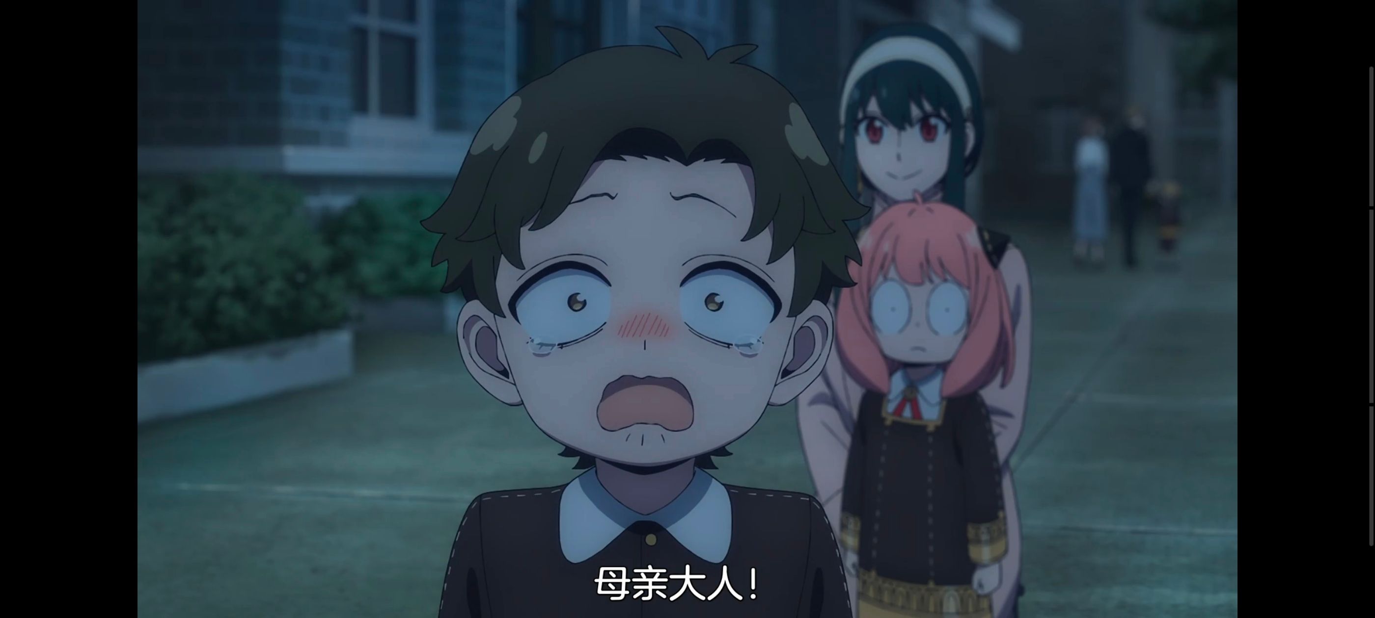 间谍过家家,SPYFAMILY,动画,动漫,番剧,ACG