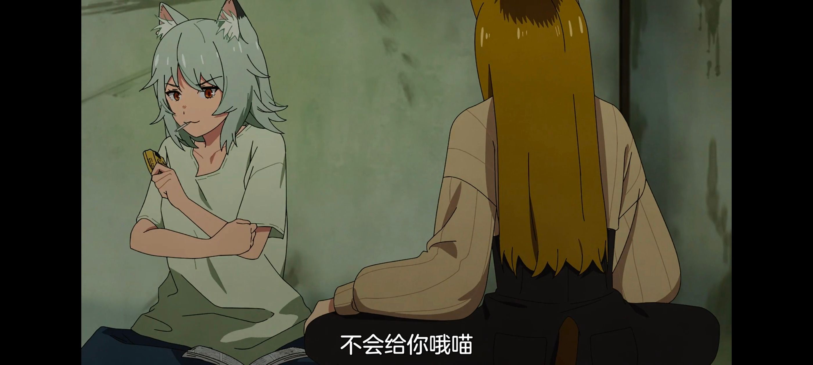 雅尼猫,尼古喵喵,动画,动漫,番剧,日漫,二次元,ACG