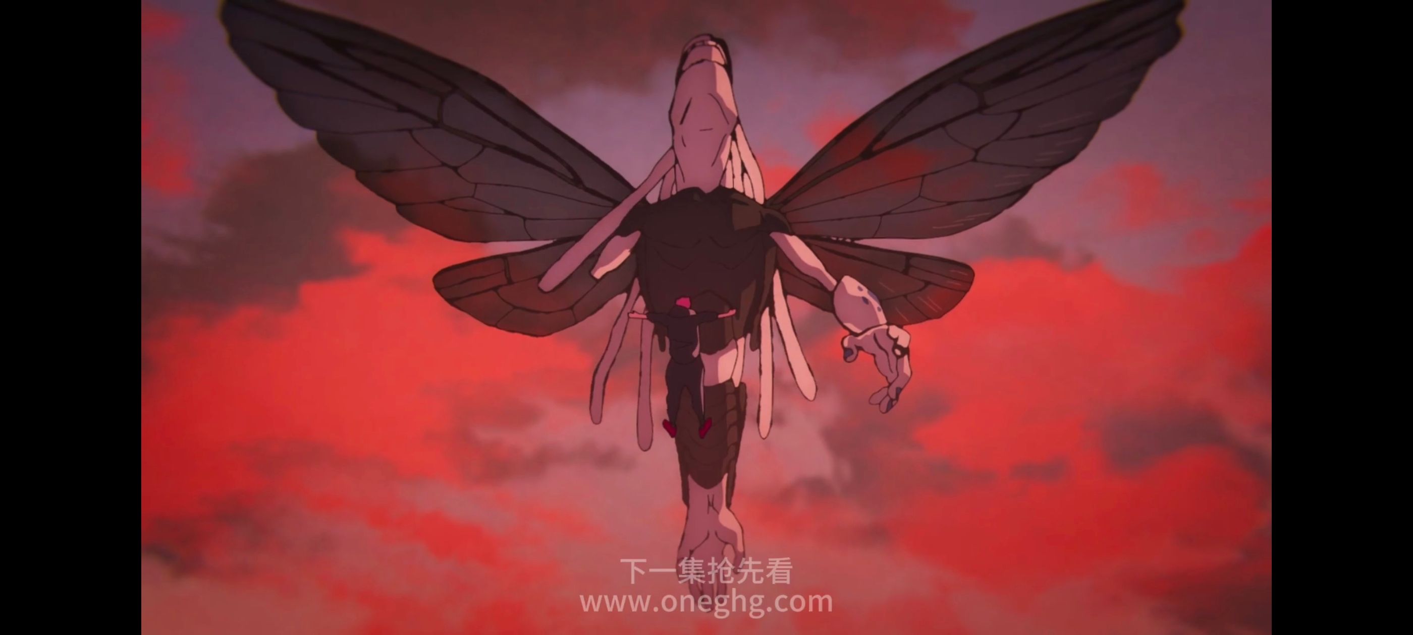 咒术回战,咒术回战死灭回游,动漫,动画,番剧,ACG