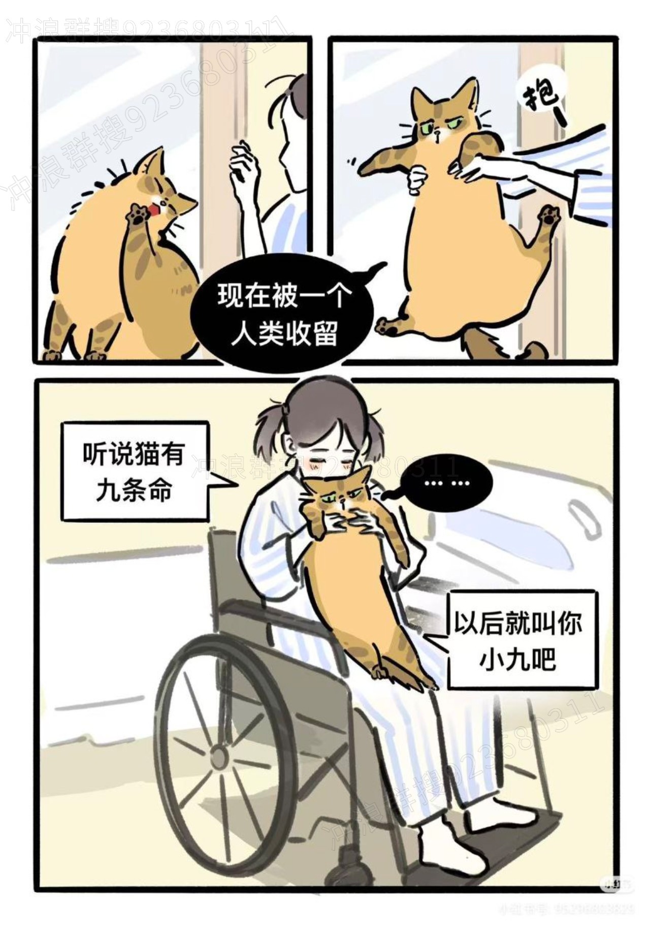 猫,故事