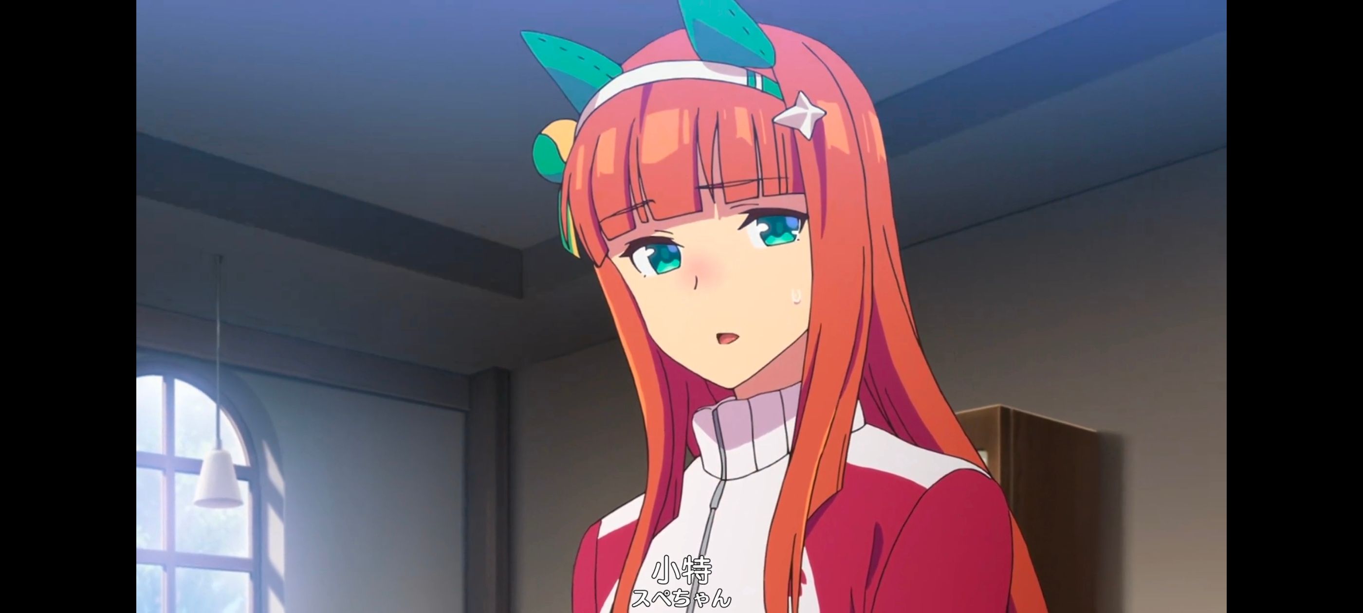 赛马娘,赛马娘PrettyDreby,动画,动漫,番剧,ACG