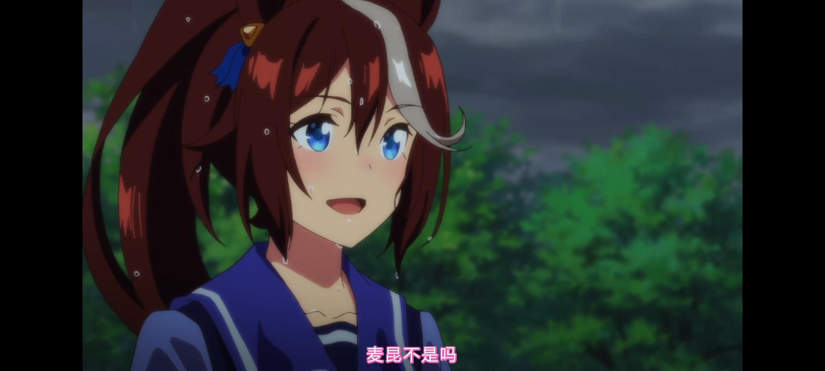 赛马娘,赛马娘第二季,赛马娘PrettyDerby,动画,动漫,番剧,二次元,ACG