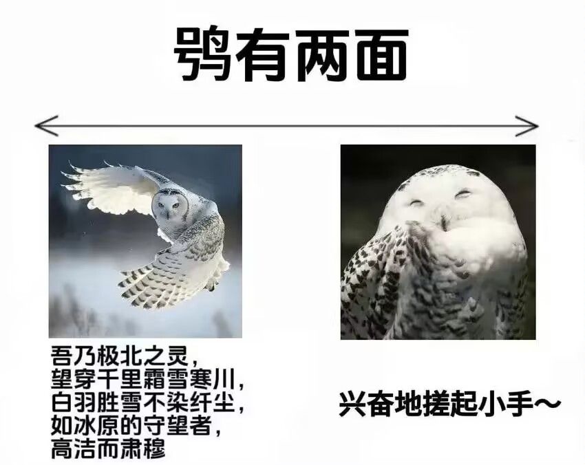 /static/573ea1a240efab1afc92f55f044eb6735ef037eac109d68143a35abdf401a695.jpg