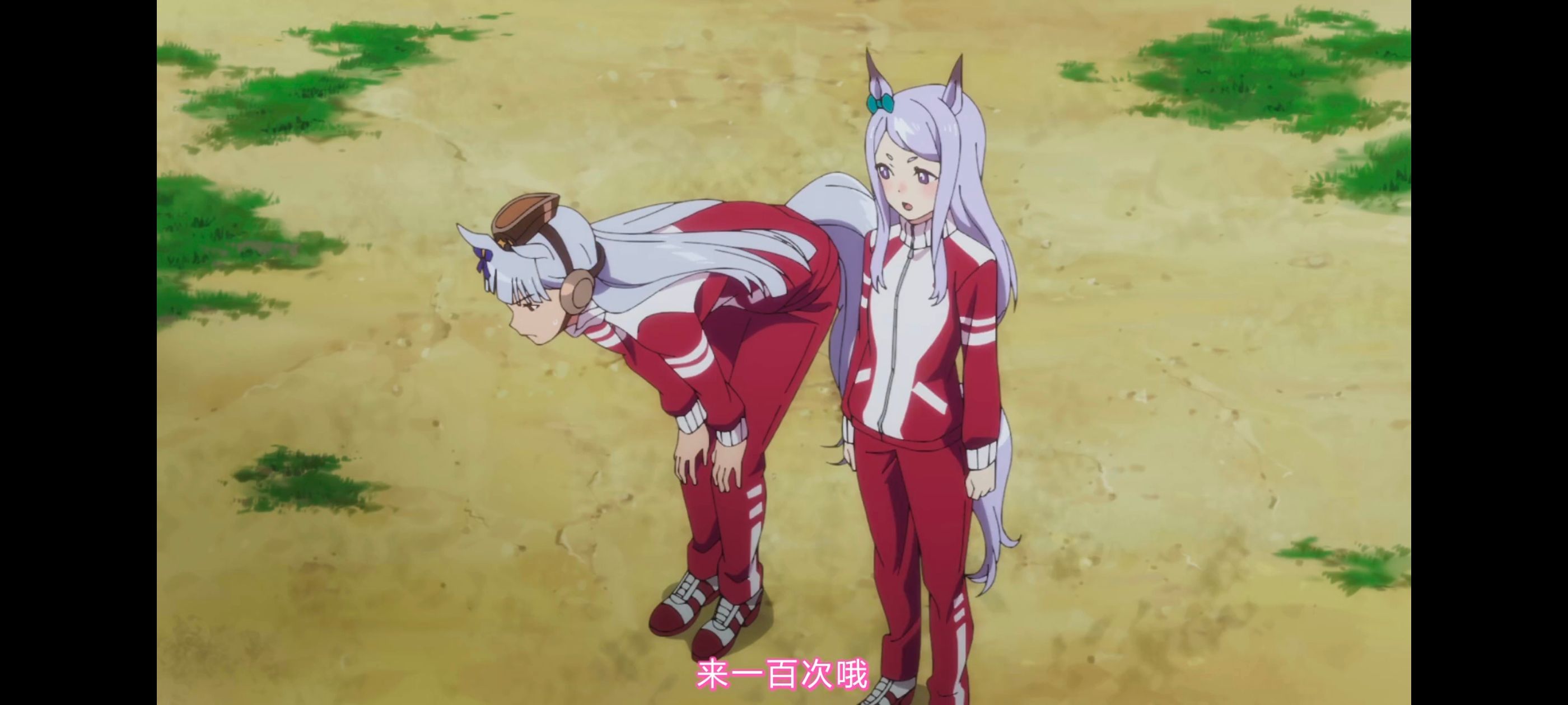 赛马娘,赛马娘PrettyDreby,赛马娘第二季,动画,动漫,番剧,ACG