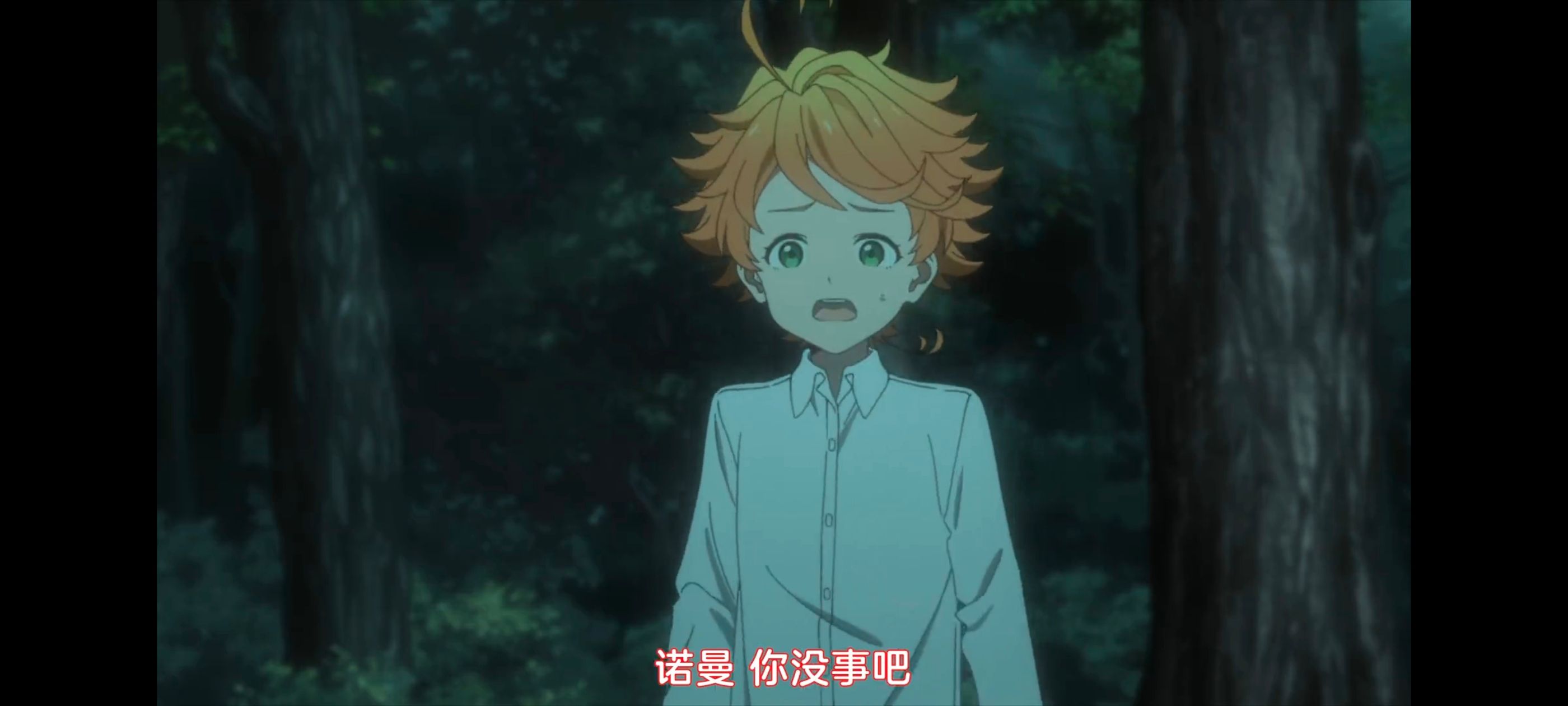 约定的梦幻岛,动画,动漫,番剧,ACG