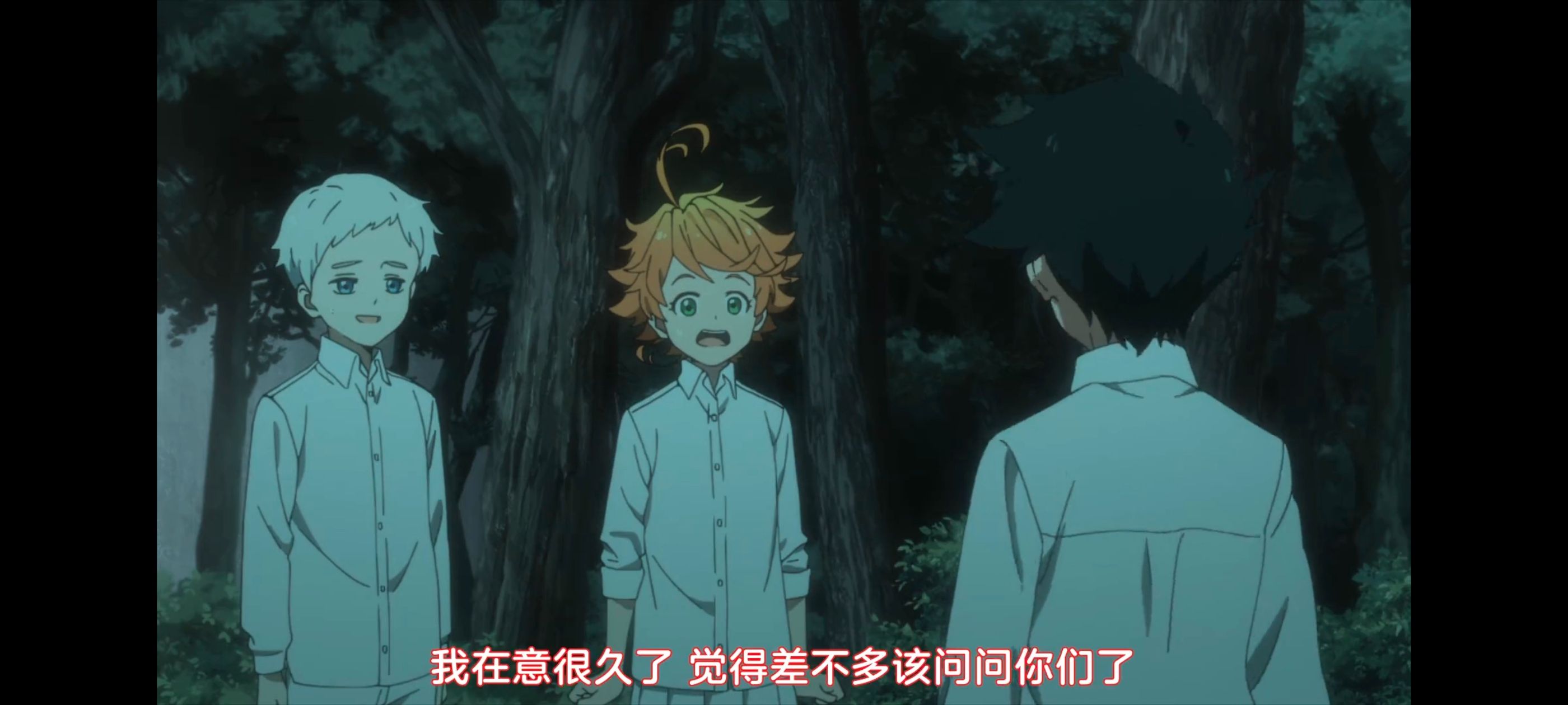 约定的梦幻岛,动画,动漫,番剧,ACG