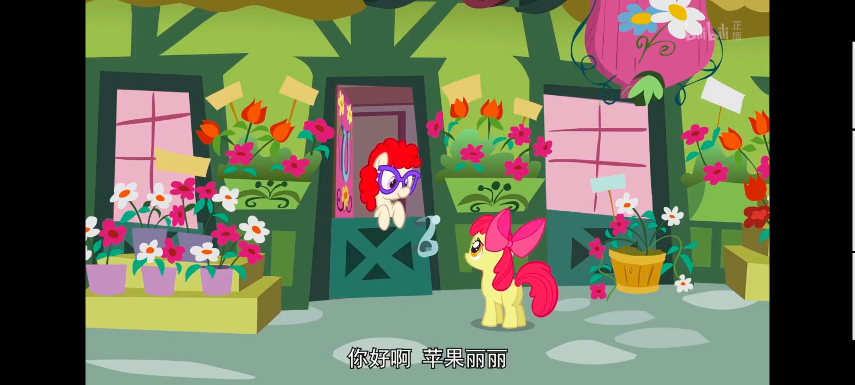 小马宝莉,小马宝莉友谊魔法,彩虹小马,我的小马驹,动画,动漫,番剧,ACG