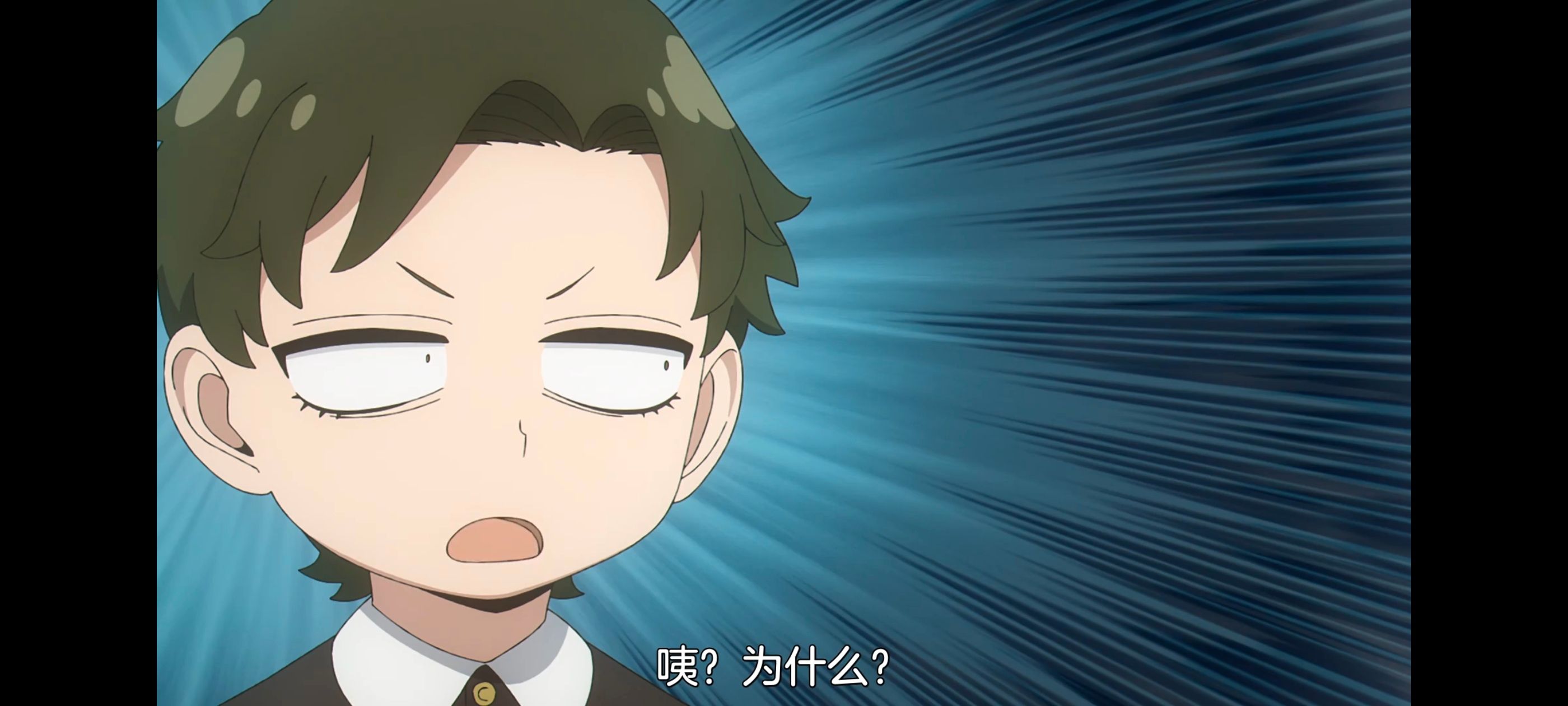 间谍过家家,SPYFAMILY,动画,动漫,番剧,ACG