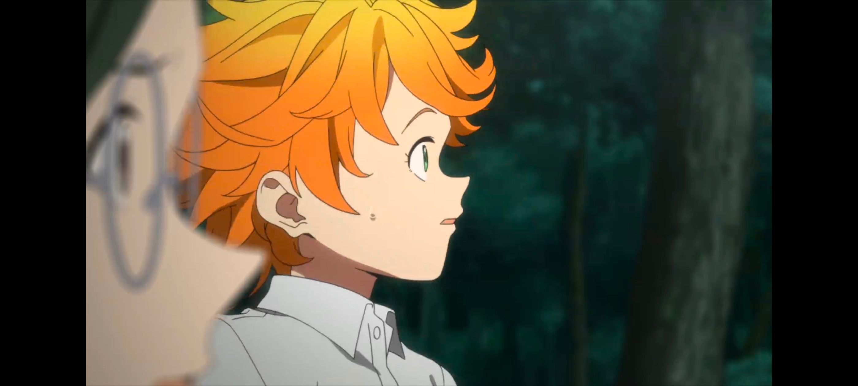 约定的梦幻岛,动画,动漫,番剧,ACG