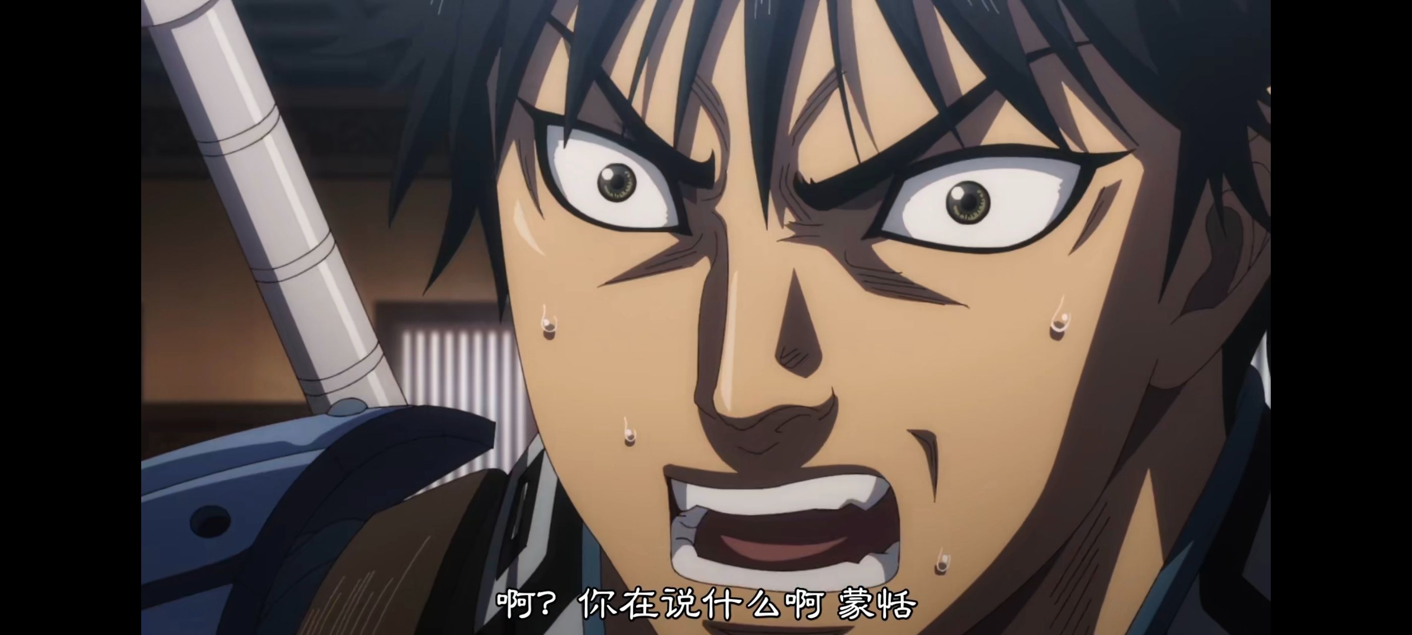 王者天下,动画,动漫,番剧,ACG