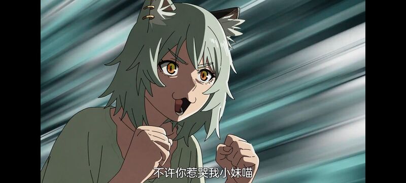 雅尼猫,尼古喵喵,动画,动漫,番剧,二次元,日漫,ACG